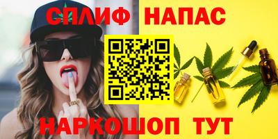 мдпв Гусь-Хрустальный