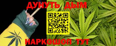 крисы Гусев