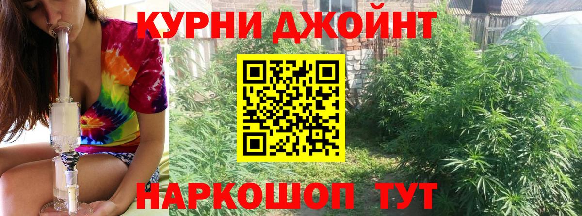 Бошки Шишки AK-47  Канабис семена  Вход с VPN  Нальчик  Шишки марихуана MAZAR 